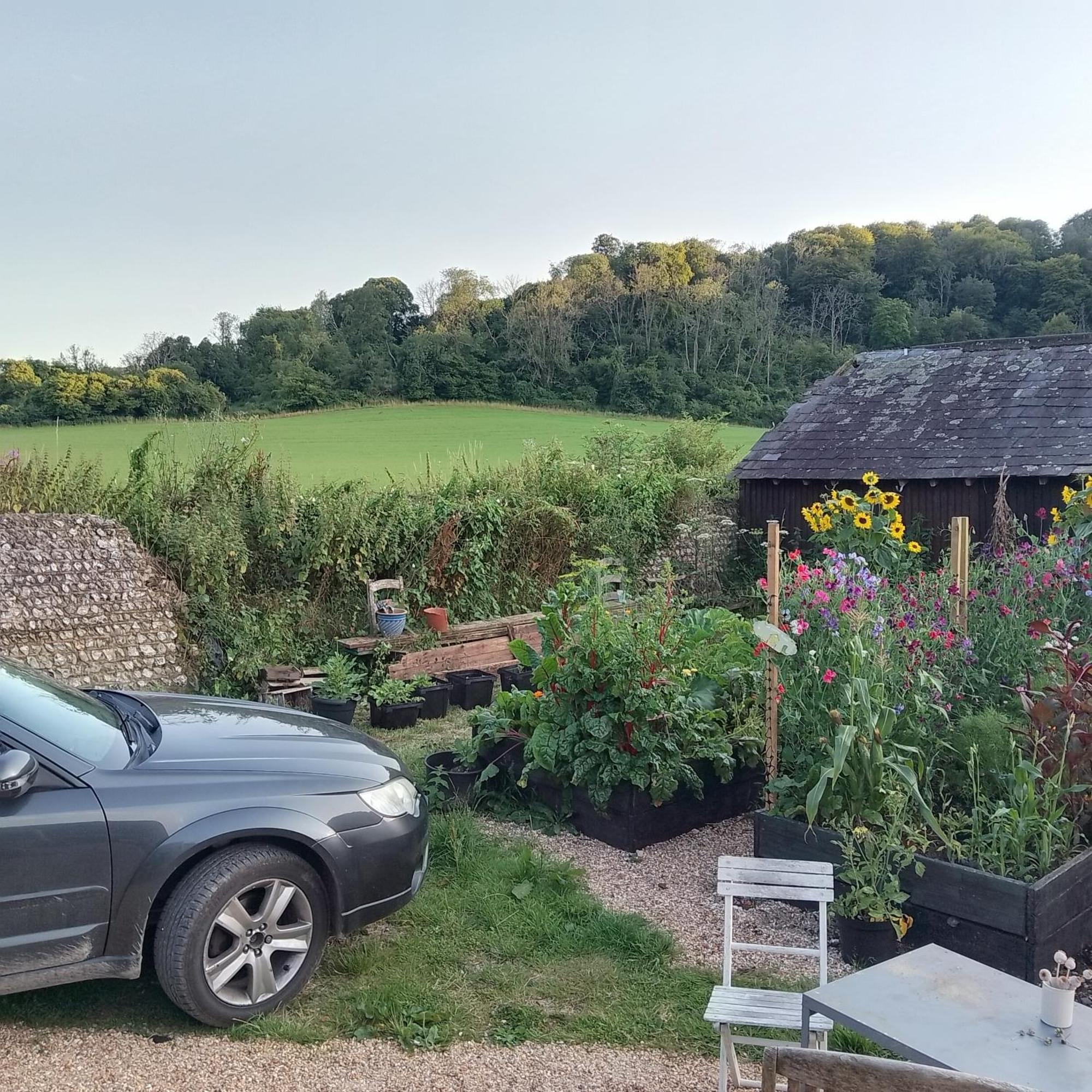 Up At The Barn Hotel Petworth Exterior photo
